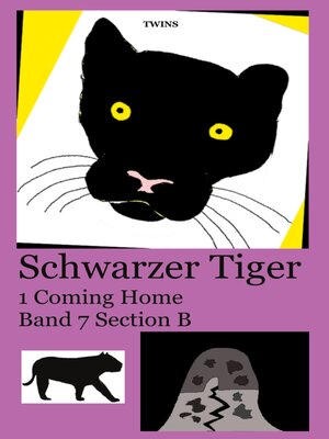 cover image of Schwarzer Tiger 1 Coming Home